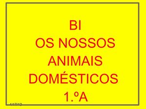 BI_animais