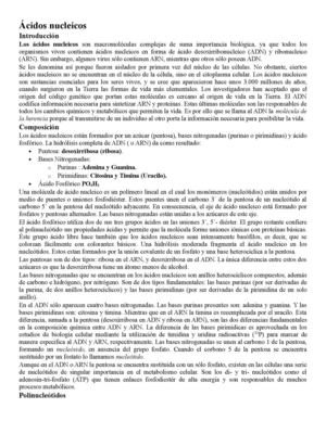 ácidos nucleicos