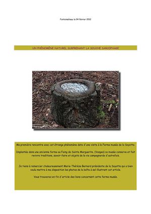 SECRETS DE NATURE La souche sarcophage une publication de Jean-Paul L de photonature fontainebleau