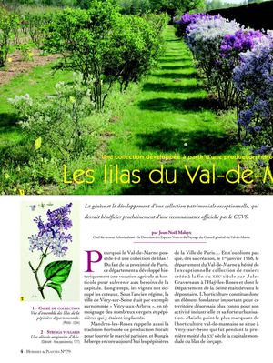 Les collections de lilas, extrait de la revue “Hommes & Plantes ”
