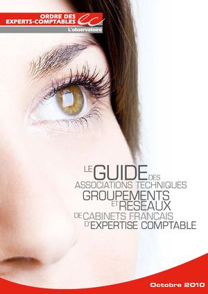 Guide 2010 des réseaux et groupements d'experts-comptables