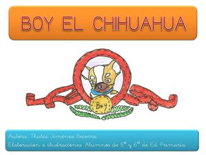 Boy el chihuahua