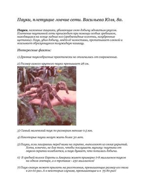 Пауки, плетущие ловчие сети