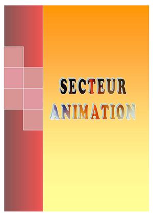 Rapport d'Activité du Secteur Animation