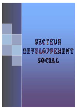 Rapport d'activité Développement Social