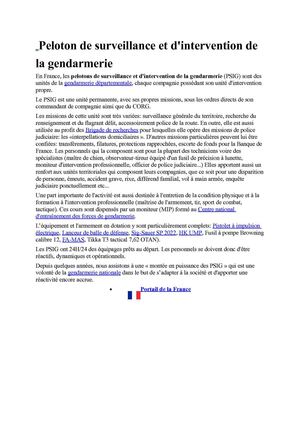 PELOTON DE SURVEILLANCE ET INTERVENTION DE LA GIE