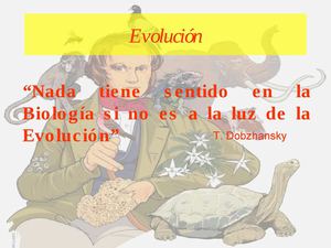 TEORIAS EVOLUTIVAS