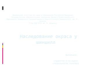 Наследование окрасов у шиншилл