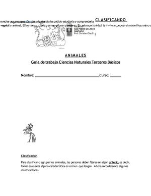criterios de clasificacion animal