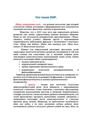 Что такое ОНР