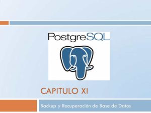 Recuperacion y Backups de Base de Datos