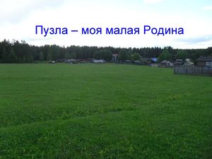 полина мерецан