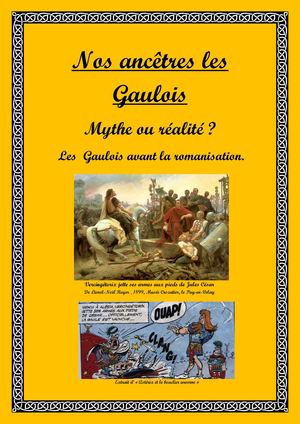 Nos ancêtres, les Gaulois