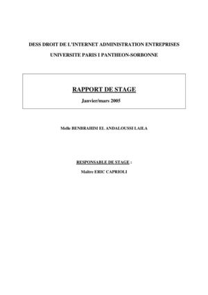 Rapport_de_stage