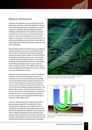 Gestion durable de la terrre - L'efficience de l'eau