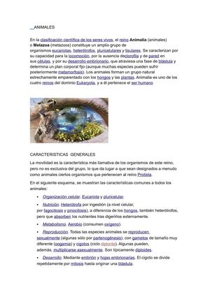 ANIMALES