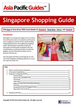 Singapore Shopping Guide