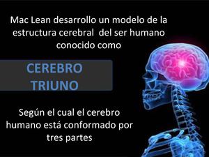cerebro Triuno