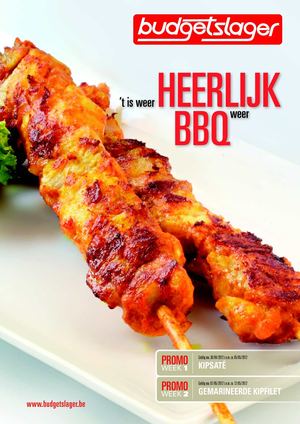BBQ promofolder