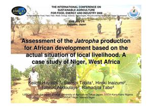Assessment of the Jatropha production for African development based on the actual situation of local livelihood. A case study of Niger, West Africa  