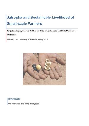 Jatropha and Sustainable Livelihood of Small-scale Farmers  