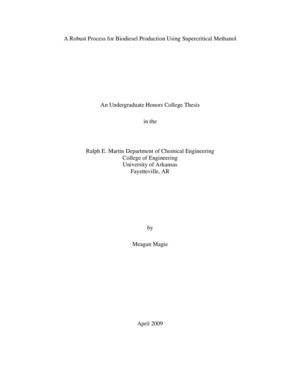 A Robust Process for Biodiesel Production Using Supercritical Methanol  