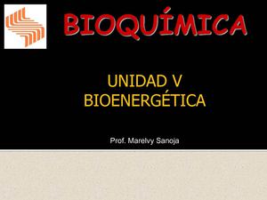 Bioenergética