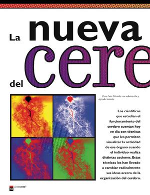 5 TEXTO 111_cerebro