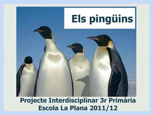 Els pingüins 
