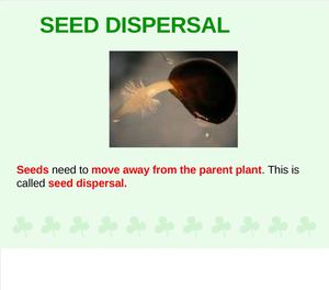 SEED DISPERSAL  year 5