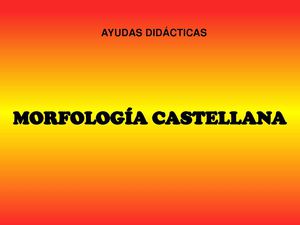 morfologia
