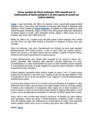 Terna, guidata da Flavio Cattaneo: 550 cassette per la nidificazione di falchi pellegrini e di altre specie di uccelli sui tralicci elettrici.