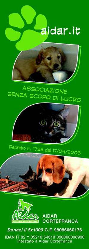 il tuo 5x1000 ad AIDAR è aiutare veramente!