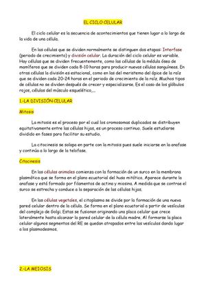 el ciclo celular
