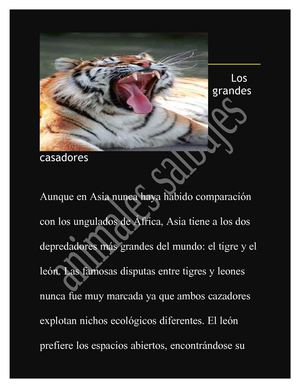 los grandes cazadores de asia