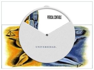 INFORME PERICIAL CONTABLE