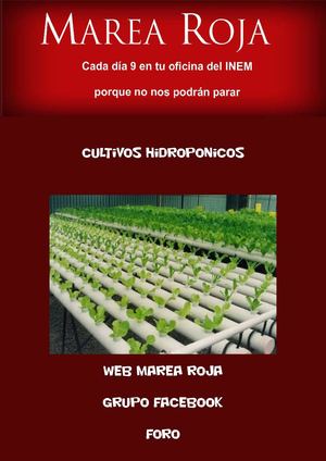 Cultivos hidroponicos.