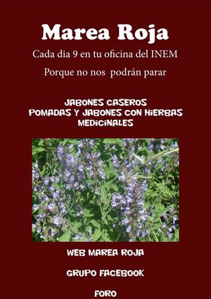 Jabones caseros y plantas medicinales.