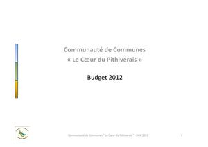 Presentation Budget 2012
