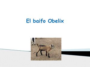 El baifo Obelix