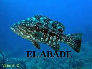 El Abade 