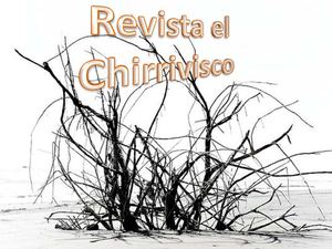 Revista Literatura Luis Rolando Nuñez Coto