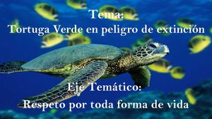 Tortuga Verde en peligro de extinción