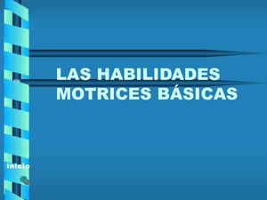 HABILIDADES MOTRICES