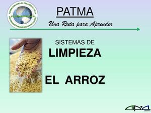 Limpieza y Acondicionado del Arroz