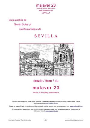 Guía Turística de Sevilla desde el Casco Histórico Norte (Calle Palacios Malaver)