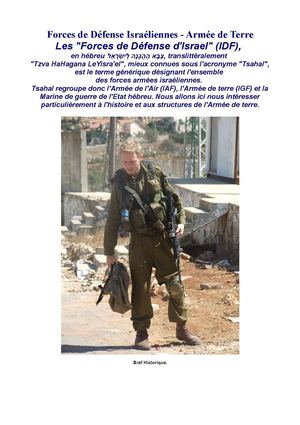 FORCES DE DEFENSE ISRAELIENNES