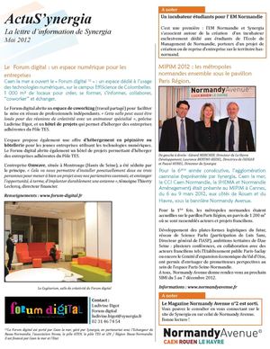 Newsletter Synergia - Mai 2012