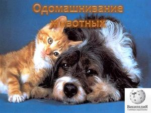 Одомашивание Животных