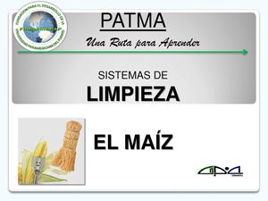 Limpieza y Acondicionado del Maiz